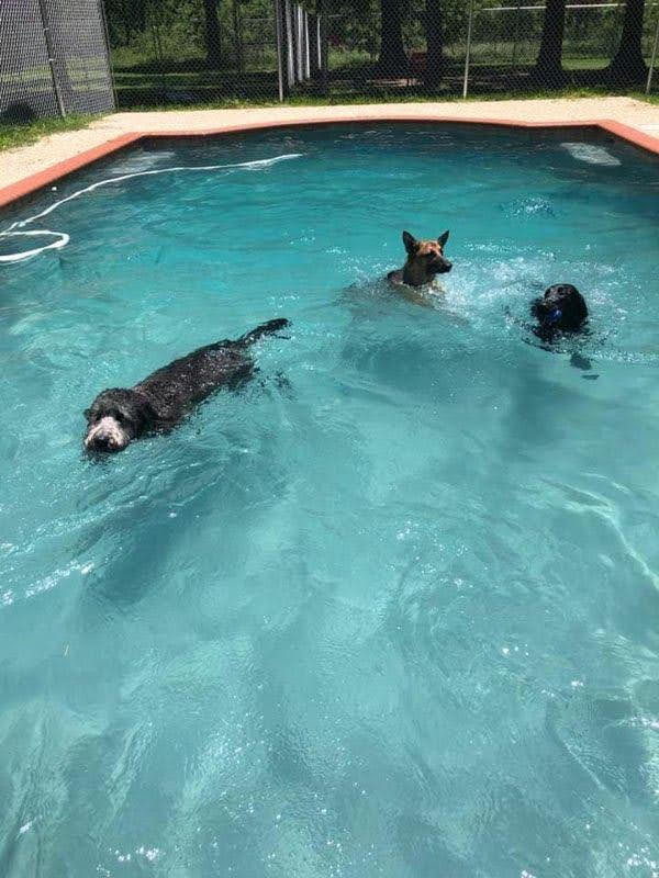 Pool Play Sessions